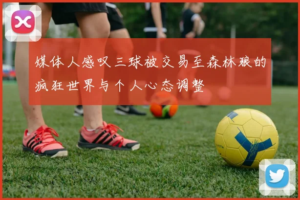 媒体人感叹三球被交易至森林狼的疯狂世界与个人心态调整
